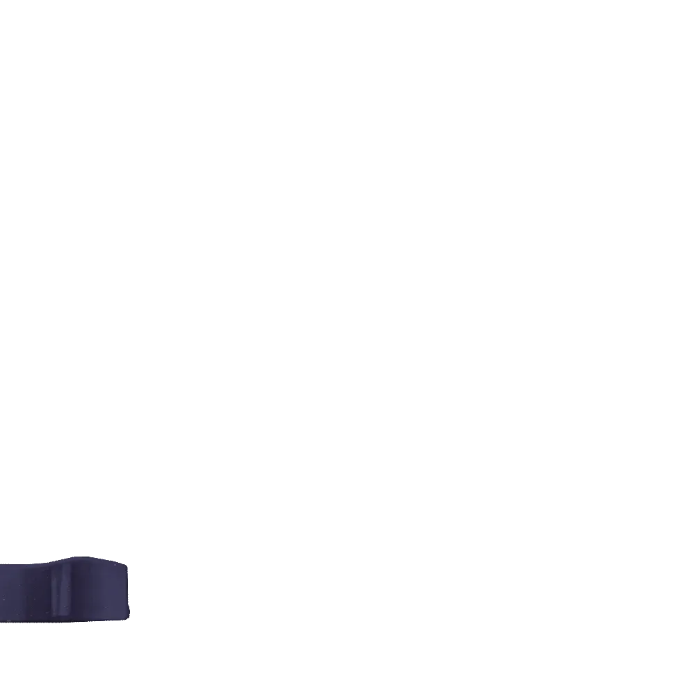 ディスクストッパー